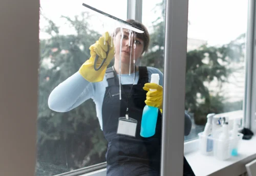 Nettoyage de vitres intérieures et extérieures à Saint-Paul-en-Gâtine